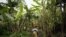 Congolese woman carries her baby as she walks through a banana plantation near the town of Rangira, DRC, May 23, 2012.