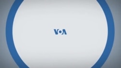 «Нью-Йорк New York». Нью-Йорк – худший город для свиданий? Жизнь лошадей из Центрального парка. Секрет успеха пиццы. 16 февраля 2025