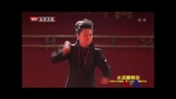 火墙内外: 中国特色“斯巴达”保卫战