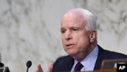 جان مک کین می گوید سنا طرح دولت را بررسی می کند امید چندانی برای آن ندارد. 