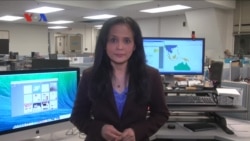 Kebebasan Politik dan Hak Sipil di Indonesia 2015 Turun Peringkat