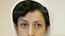 شش سال زندان برای نرگس محمدی