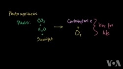 专访创始人：可汗学院为全球提供免费教育