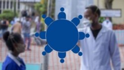 ውይይት | የኮቪድ19 ስርጭትን ለመግታት የበጎ-ፈቃደኞች ሚና ሲመዘን