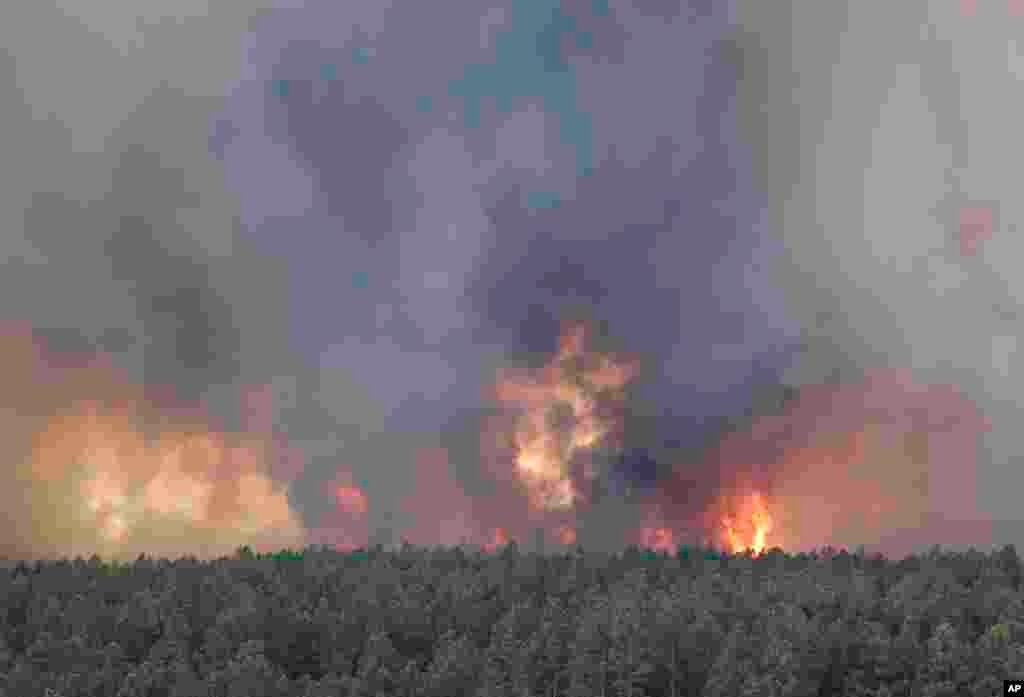 Fire is seen in the Black Forest area north of Colorado Springs, Colorado, June 12, 2013. 