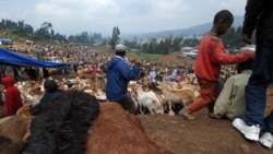 Ejensiin Babbal'na Waldaalee Hojii Gamtaa Oromiyaa Ayyaana Waggaaf Oomishalee Qonnaa Gatii Madaalawaan Finfinneetti Dhiyesse