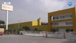 Türk Sanayisinin Yeşil Ekonomiye Uyum Çabası