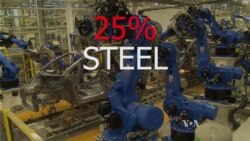 Congress Pushes Trump for “Targeted” Tariffs