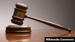 弗格森案进入司法程序