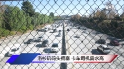 洛杉矶码头拥塞 卡车司机需求高