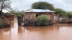 Kaaba Keeniyaatti Bokkaan Roobe Mana 192 Balleesse; Namni Hedduunis Manaa Baqate