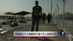 伊极端分子占领摩苏尔 数十万人流离失所